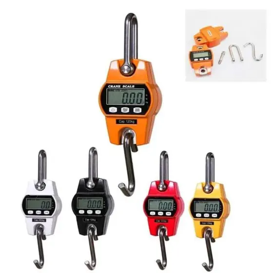 Digital crane scale